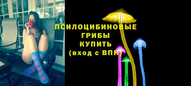 где купить наркоту  Десногорск  Псилоцибиновые грибы MAGIC MUSHROOMS 